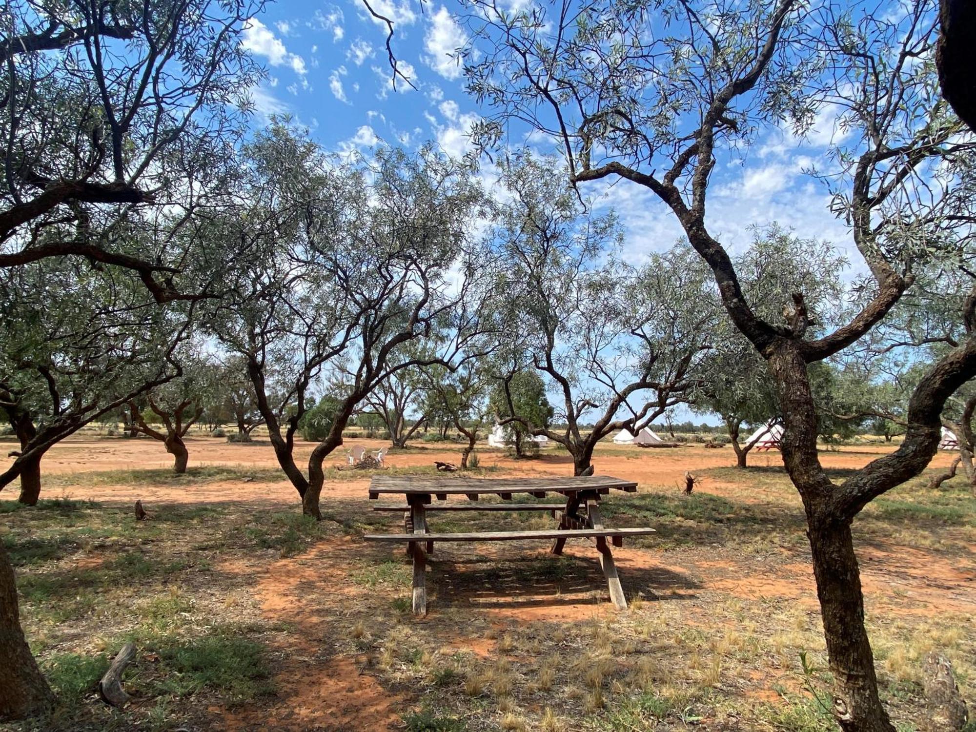 Mungo Lodge Luaran gambar